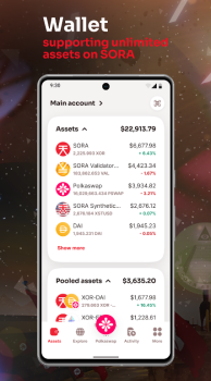SORA Wallet Polkaswap App Download for Android v3.8.3.1 screenshot 2