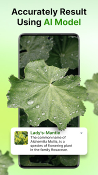 PlantThis Identifier mod apk unlocked everything v4.0.4 screenshot 3