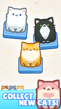 Box Cat Jam mod apk unlimited money no ads v1.8.5 screenshot 4