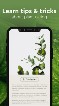 Nature Detect Plant Identify app free download for android v2.1 screenshot 1