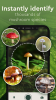 Nature Detect Plant Identify app free download for android v2.1 screenshot 3