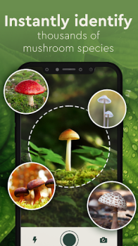 Nature Detect Plant Identify app free download for android v2.1 screenshot 3