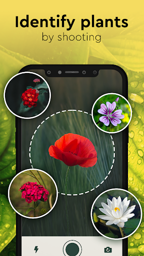 Nature Detect Plant Identify app free download for android