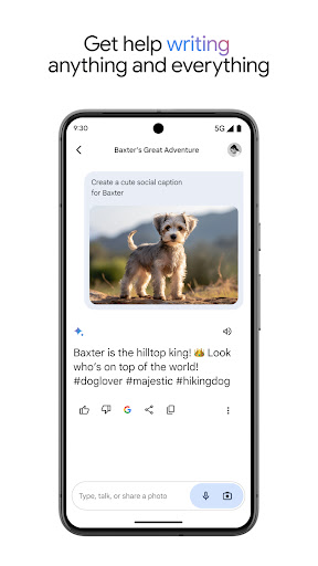 Gemini ai google 1.5 pro apk download for android  1.0.617308980 screenshot 1