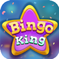 Bingo King Live & Big Win apk latest version download