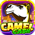 Camel Cash Casino 777 Slots Apk Download Latest Version