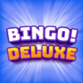 Bingo Deluxe game download for android