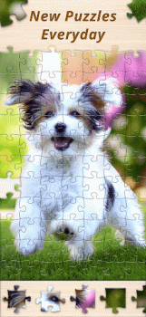 Jigsaw Premium Puzzles HD mod apk download v1.186.0 screenshot 1