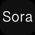 SoraAi Text to Video AI Premium Apk Unlocked Everything