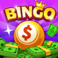 Bingo Money Winner apk download for android