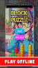 Block Puzzle Classic 2024 mod apk no ads v1.0 screenshot 2