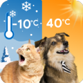 Cat & Dog Weather app download for android