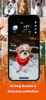 Cat & Dog Weather app download for android v1.0.0 screenshot 3