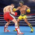 Punch Boxing Game Ninja Fight mod apk free download