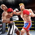 Tag Boxing Games Punch Fight mod apk unlimited money