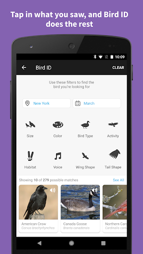Audubon Bird Guide app for android latest versionͼƬ2