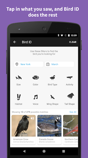 Audubon Bird Guide app for android latest version