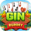 Gin Rummy Master Offline apk download for android 1.0005