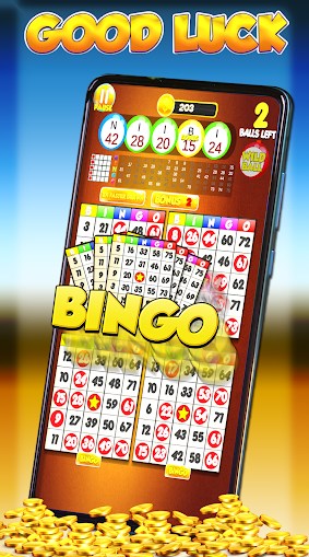 Lucky Bingo Fun Casino Games mod apk unlimited moneyͼƬ1