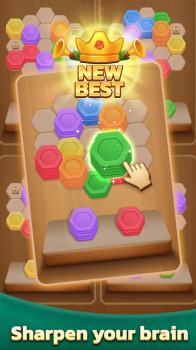 Wood Hexa Puzzle apk Download for Android v0.1.1 screenshot 2