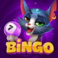 Bingo Haven mod apk unlimited money