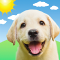 Weather Puppy mod apk unlocked everything