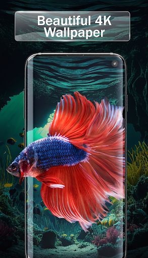 Transparent Live Wallpaper 4K mod apk unlocked everything
