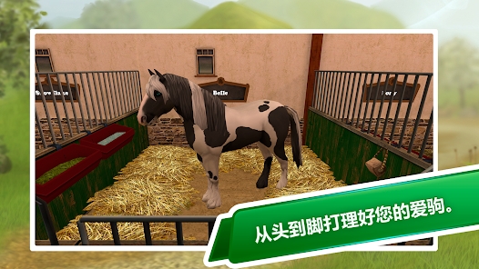 Horse World Premium mod apk Last version v4.4 screenshot 2