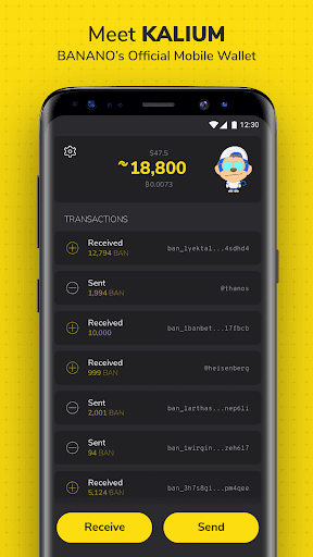 Kalium BANANO Wallet App Download Latest VersionͼƬ1