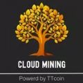 TTcoin Trees apk download latest version