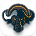 Buffalo Network wallet app download