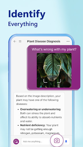 Bing mod apk (unlimited points) unlocked everything