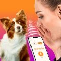 Talk To My Pet mod apk latest version