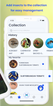 Insect ID AI Bug Identifier mod apk premium unlocked v1.3.7 screenshot 3