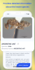 Insect ID AI Bug Identifier mod apk premium unlocked v1.3.7 screenshot 2