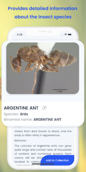 Insect ID AI Bug Identifier mod apk premium unlocked v1.3.7 screenshot 2