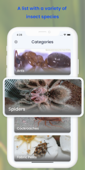 Insect ID AI Bug Identifier mod apk premium unlocked v1.3.7 screenshot 5