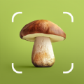 Mushroom ID Fungi Identifier mod apk premium unlocked