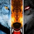 wolf online mod apk 2024 unlimited money