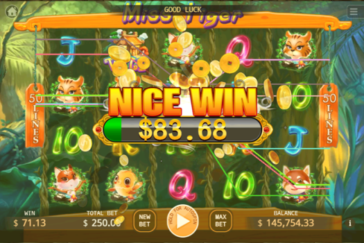 Miss Tiger apk download for Android v1.0 screenshot 1