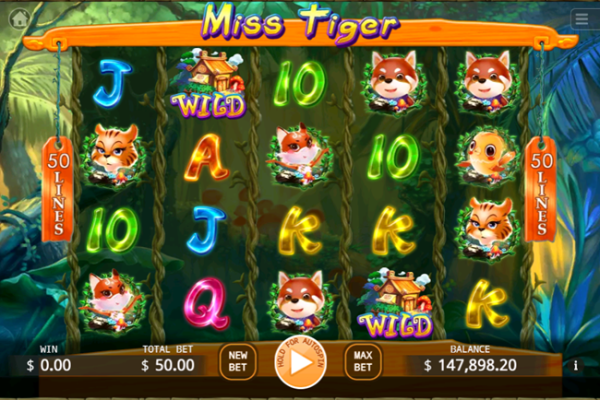Miss Tiger apk download for Android
