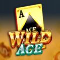 Wild Ace jili slot download for android