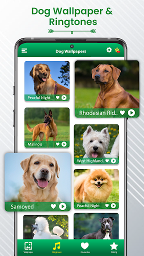 Dog Sound Ringtones Wallpapers app free download