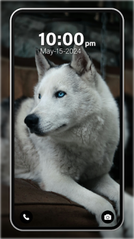 Puppy Wallpaper 4K Live app free download v1.0 screenshot 1