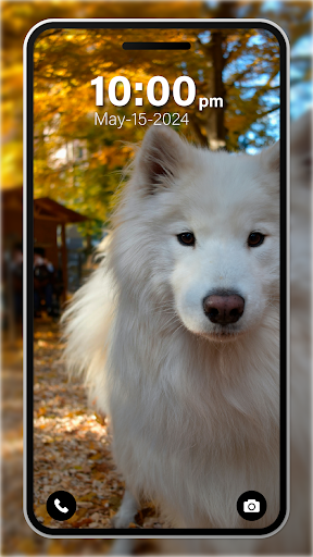 Puppy Wallpaper 4K Live app free downloadͼƬ1