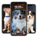 Puppy Wallpaper 4K Live app free download