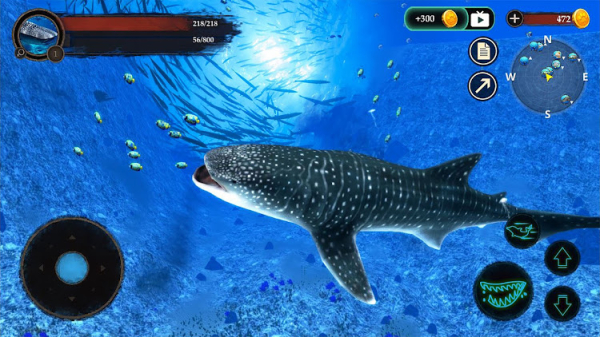 The Whale Shark apk Download for Android