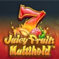 Juicy Fruits Multihold slot apk free download