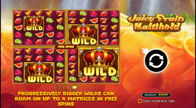 Juicy Fruits Multihold slot apk free download v1.0.0 screenshot 2