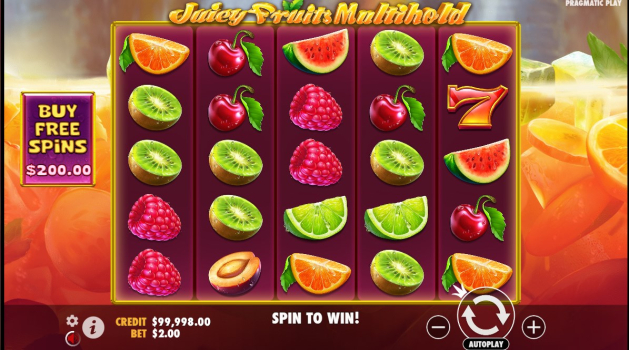 Juicy Fruits Multihold slot apk free download v1.0.0 screenshot 3